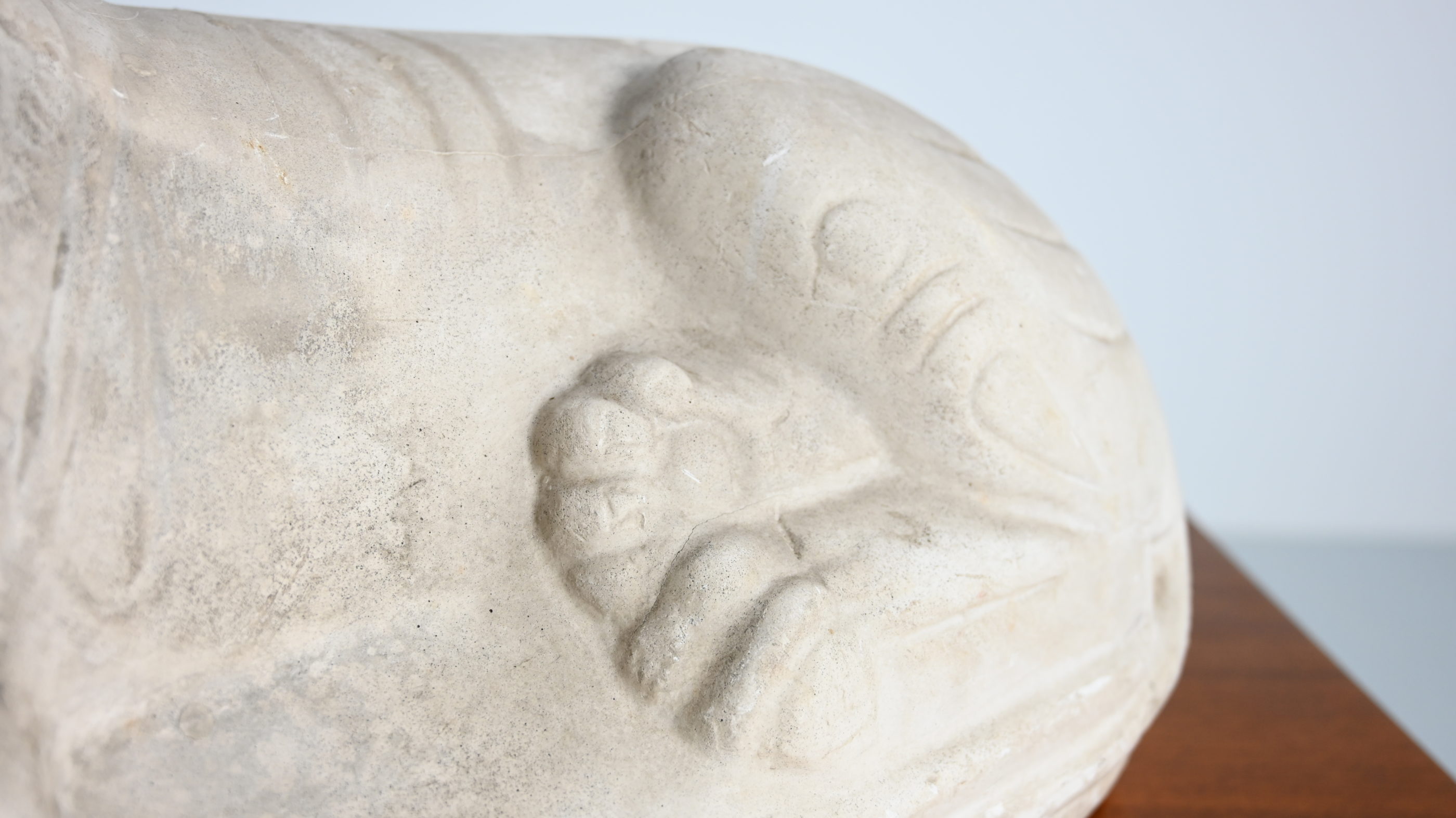 reclining lion couché Les Ateliers d'Art des Musées nationaux louvre achéménide platre plaster reproduction