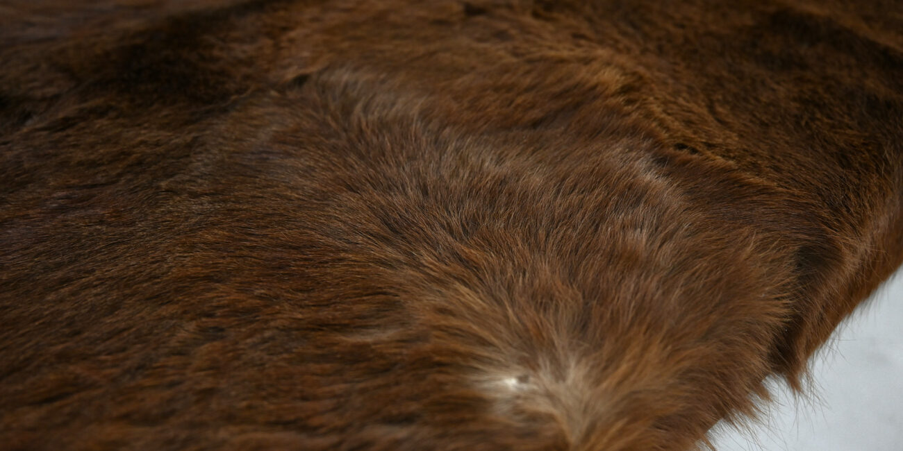 Lionel Jadot Daybed designer of the year leather cowhide post modernism