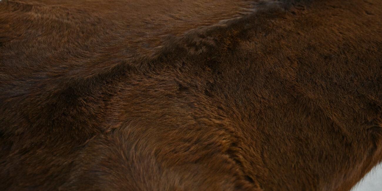 Lionel Jadot Daybed designer of the year leather cowhide post modernism