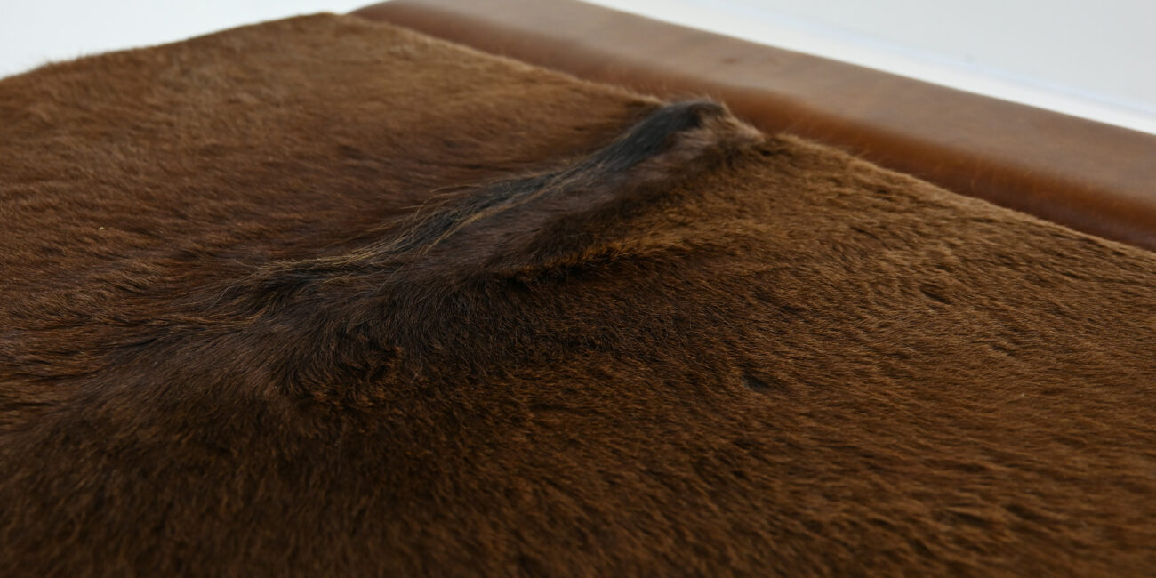 Lionel Jadot Daybed designer of the year leather cowhide post modernism